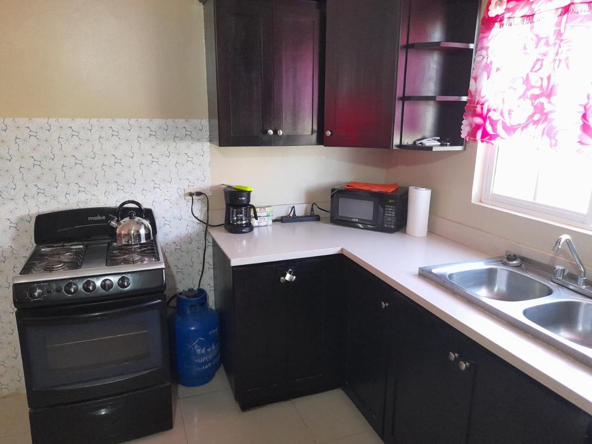 Loodik Vacation Home Brompton Manor Black River Eksteriør billede